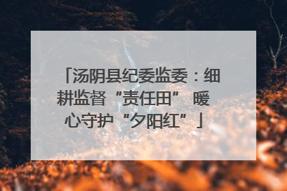 汤阴县纪委监委：细耕监督“责任田” 暖心守护“夕阳红”