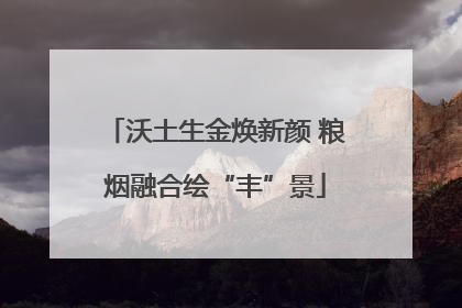 沃土生金焕新颜 粮烟融合绘“丰”景