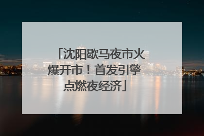沈阳歇马夜市火爆开市！首发引擎点燃夜经济