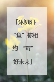 沐初阳·“鱼”你相约 “莓”好未来