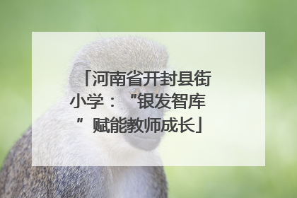 河南省开封县街小学：“银发智库”赋能教师成长