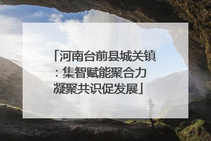 河南台前县城关镇：集智赋能聚合力 凝聚共识促发展