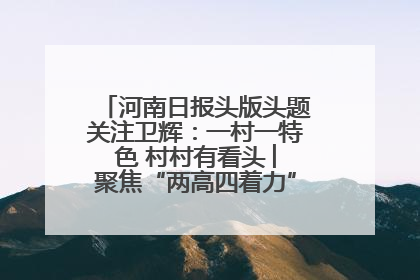 河南日报头版头题关注卫辉：一村一特色 村村有看头 ︳聚焦“两高四着力”·一“县”观察