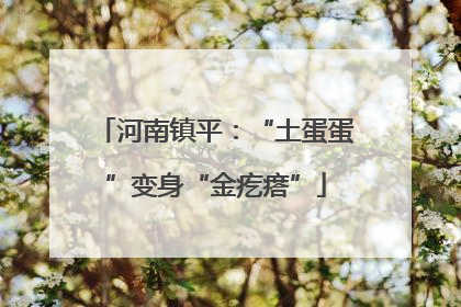 河南镇平：“土蛋蛋”变身“金疙瘩”