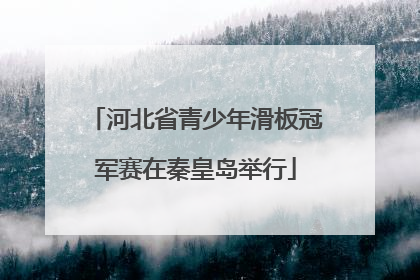 河北省青少年滑板冠军赛在秦皇岛举行