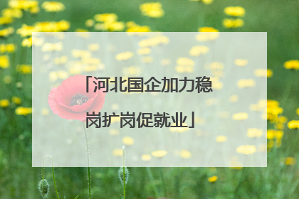 河北国企加力稳岗扩岗促就业