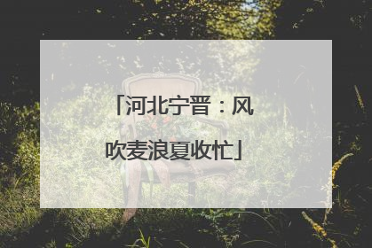 河北宁晋：风吹麦浪夏收忙