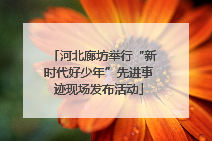 河北廊坊举行“新时代好少年”先进事迹现场发布活动