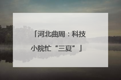 河北曲周:科技小院忙“三夏”