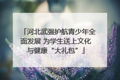 河北武强护航青少年全面发展 为学生送上文化与健康“大礼包”