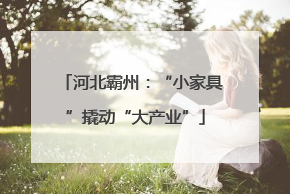 河北霸州：“小家具”撬动“大产业”