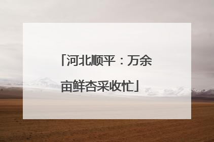 河北顺平：万余亩鲜杏采收忙