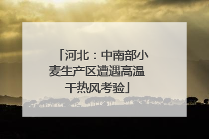 河北：中南部小麦生产区遭遇高温干热风考验
