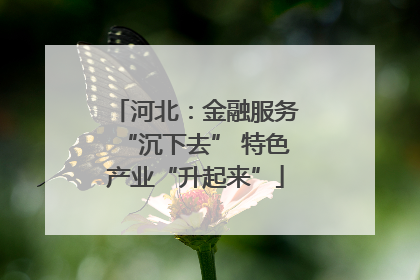 河北：金融服务“沉下去” 特色产业“升起来”