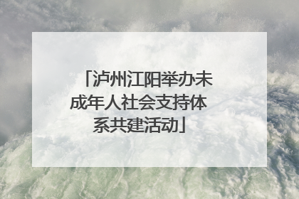 泸州江阳举办未成年人社会支持体系共建活动