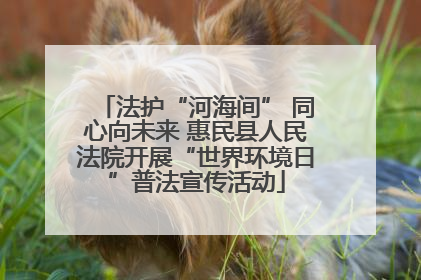 法护“河海间” 同心向未来 惠民县人民法院开展“世界环境日”普法宣传活动
