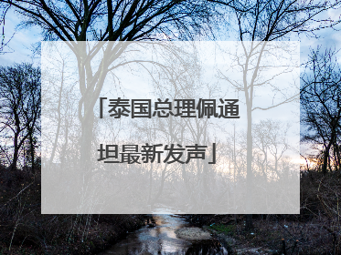 泰国总理佩通坦最新发声