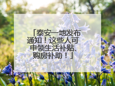 泰安一地发布通知！这些人可申领生活补贴、购房补助！