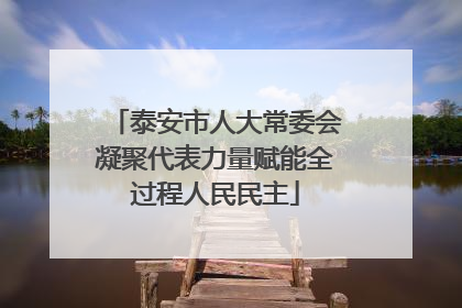 泰安市人大常委会凝聚代表力量赋能全过程人民民主