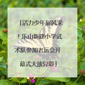 活力少年展风采！乐山新建小学武术队参加老运会开幕式大放异彩