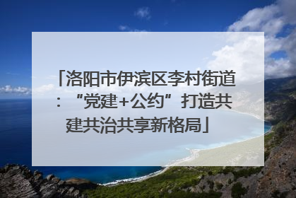 洛阳市伊滨区李村街道：“党建+公约”打造共建共治共享新格局