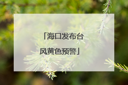 海口发布台风黄色预警