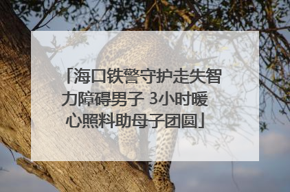 海口铁警守护走失智力障碍男子 3小时暖心照料助母子团圆