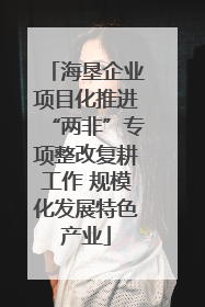 海垦企业项目化推进“两非”专项整改复耕工作 规模化发展特色产业