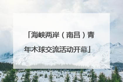 海峡两岸（南昌）青年木球交流活动开幕