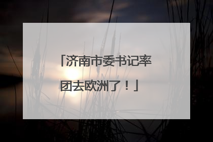 济南市委书记率团去欧洲了！