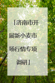 济南市开展新小麦市场行情专项调研