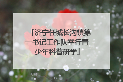 济宁任城长沟镇第一书记工作队举行青少年科普研学