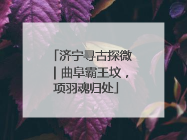 济宁寻古探微｜曲阜霸王坟，项羽魂归处