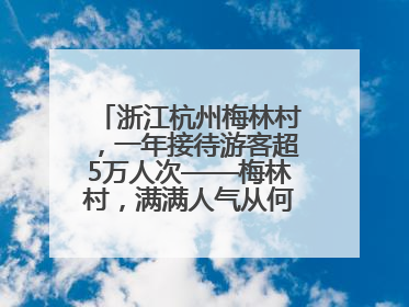 浙江杭州梅林村，一年接待游客超5万人次——梅林村，满满人气从何来（经济新方位·农村消费观察）