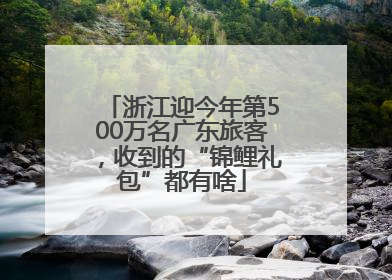 浙江迎今年第500万名广东旅客，收到的“锦鲤礼包”都有啥