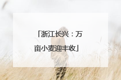 浙江长兴：万亩小麦迎丰收