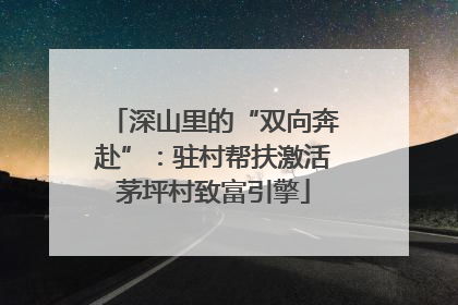 深山里的“双向奔赴”：驻村帮扶激活茅坪村致富引擎