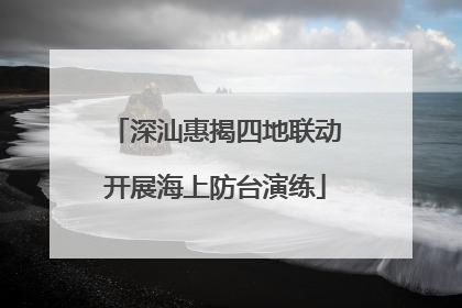 深汕惠揭四地联动开展海上防台演练