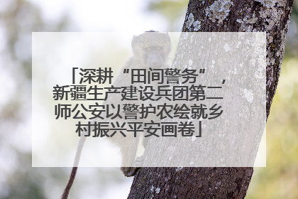深耕“田间警务”，新疆生产建设兵团第二师公安以警护农绘就乡村振兴平安画卷