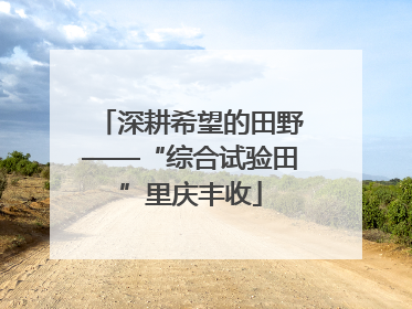 深耕希望的田野——“综合试验田”里庆丰收