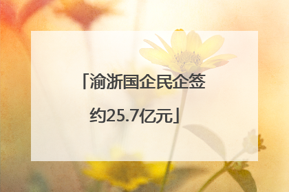 渝浙国企民企签约25.7亿元