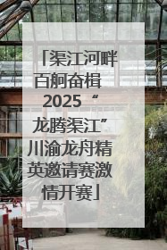 渠江河畔百舸奋楫 2025“龙腾渠江”川渝龙舟精英邀请赛激情开赛