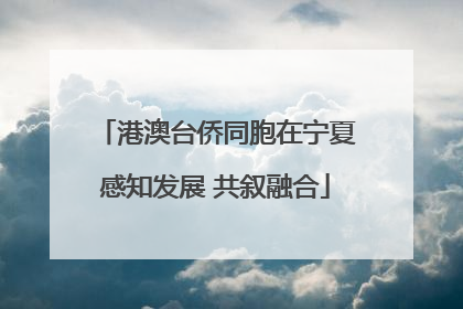 港澳台侨同胞在宁夏感知发展 共叙融合