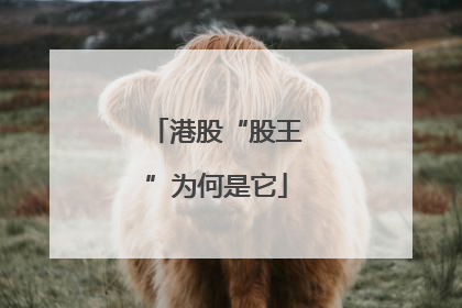港股“股王”为何是它