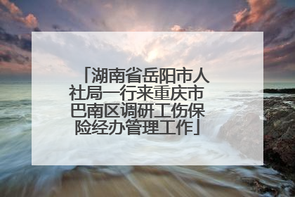 湖南省岳阳市人社局一行来重庆市巴南区调研工伤保险经办管理工作