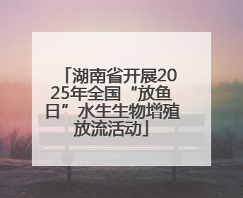 湖南省开展2025年全国“放鱼日”水生生物增殖放流活动