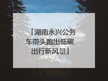 湖南永兴公务车带头跑出低碳出行新风景