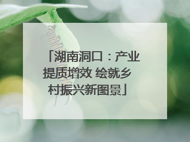 湖南洞口：产业提质增效 绘就乡村振兴新图景