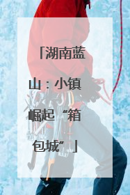 湖南蓝山：小镇崛起“箱包城”