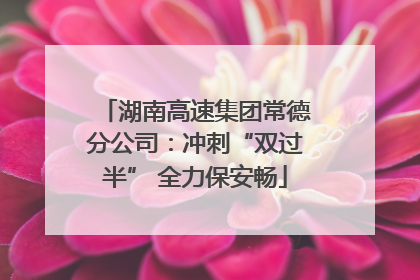 湖南高速集团常德分公司：冲刺“双过半” 全力保安畅